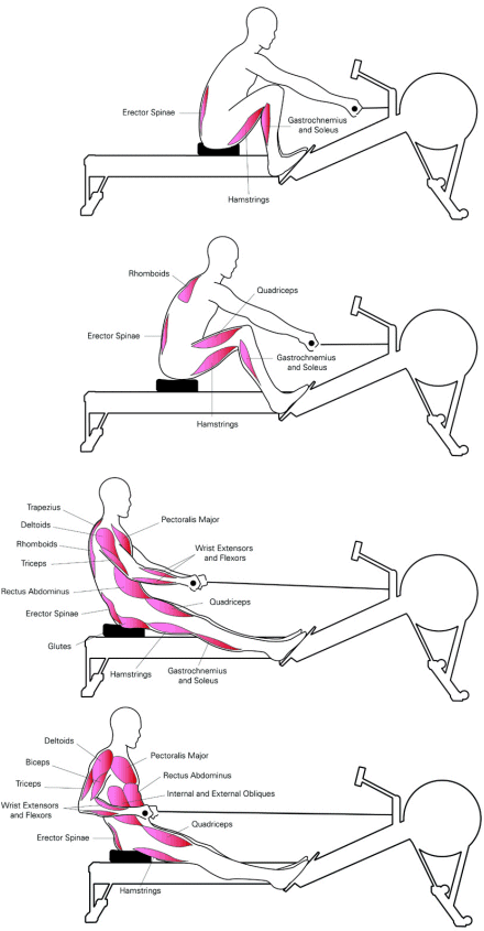How to do workout on Rowing machine