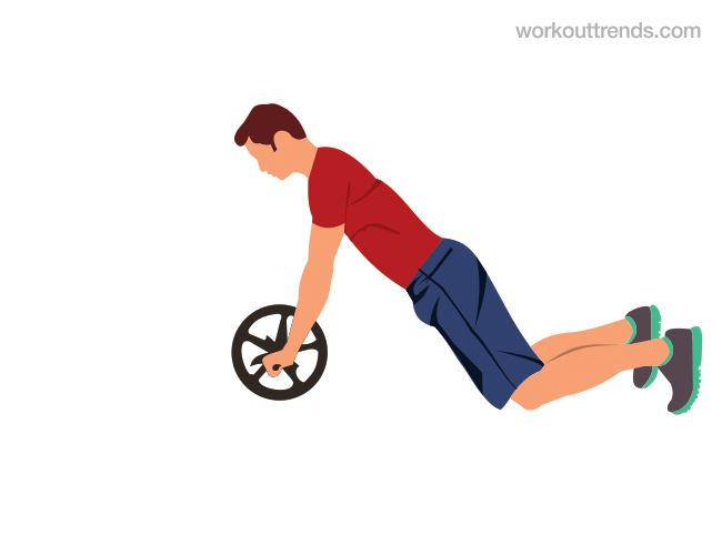 ab wheel rollout exercise