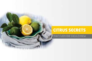 Citrus Fruits secrets