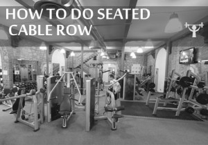 seated cable row