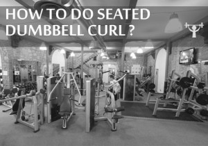 SEATED DUMBBELL CURLS