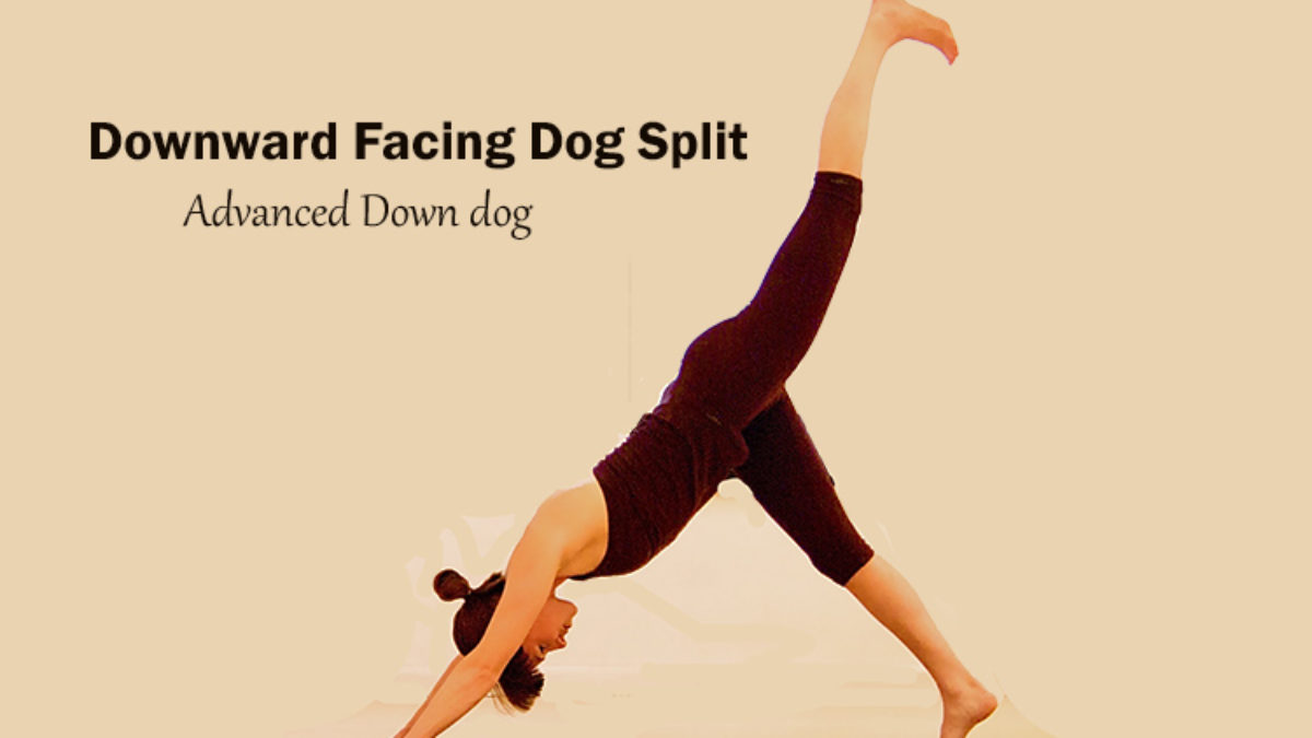Downward Facing Dog Split Advanced Down Dog Workouttrends Com