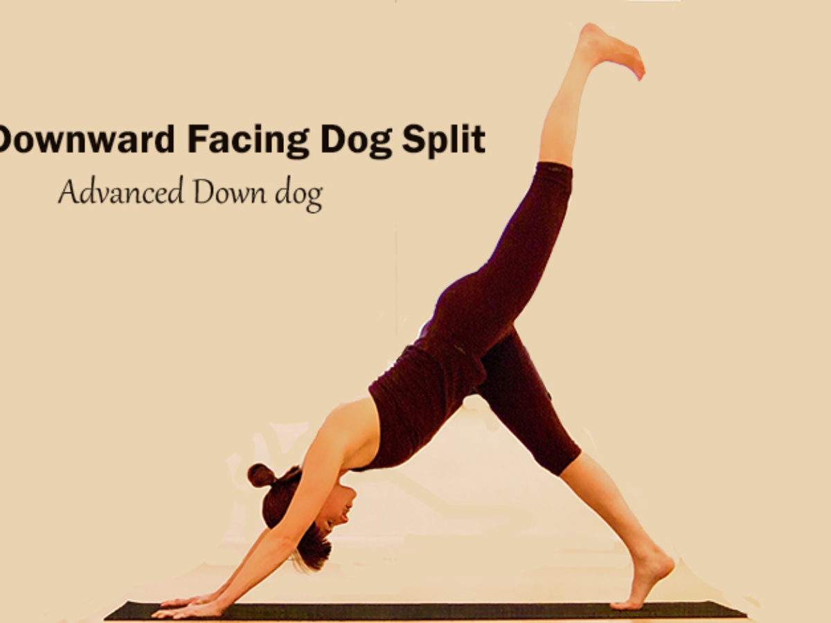 downward dog split