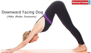 Downward-Facing-Dog yoga pose