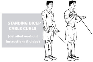 Standing Bicep Cable Curls