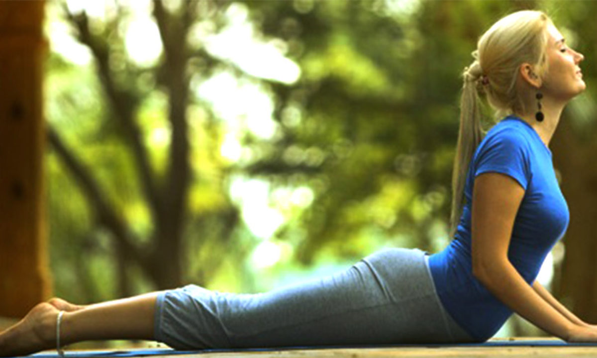 Sporty Fit Yogini Woman Practices Yoga Asana Stock Photo - Image of  healthy, sport: 57216094