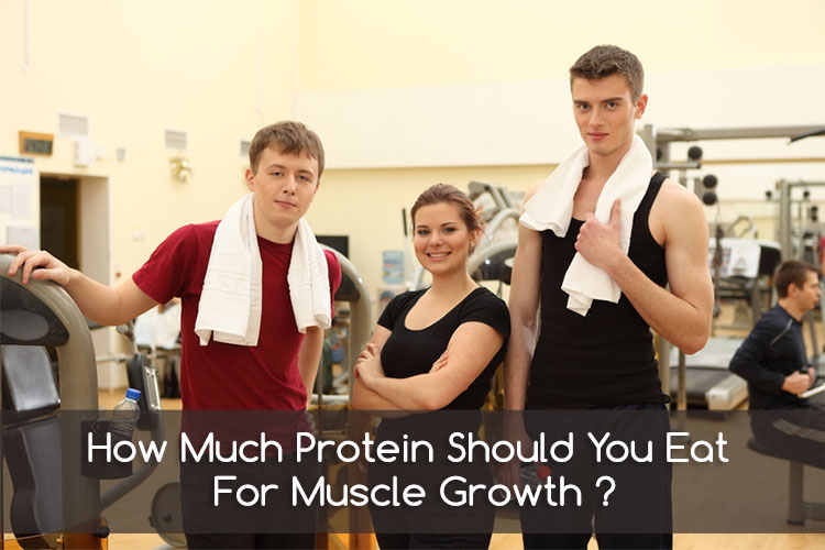 just how much protein daily is required