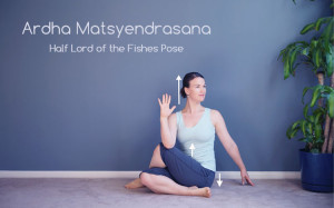 Ardha Matsyendrasana (Half Lord of the Fishes Pose)