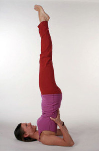 yoga_shoulder_stand