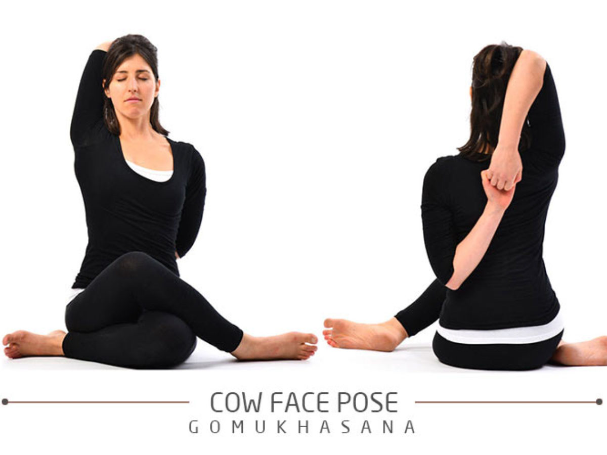 Cow Face Pose (Gomukhasana) - Gym Geek