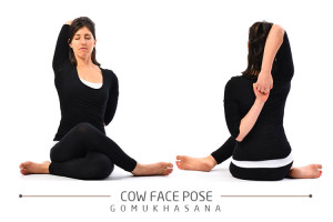 cow-face-pose