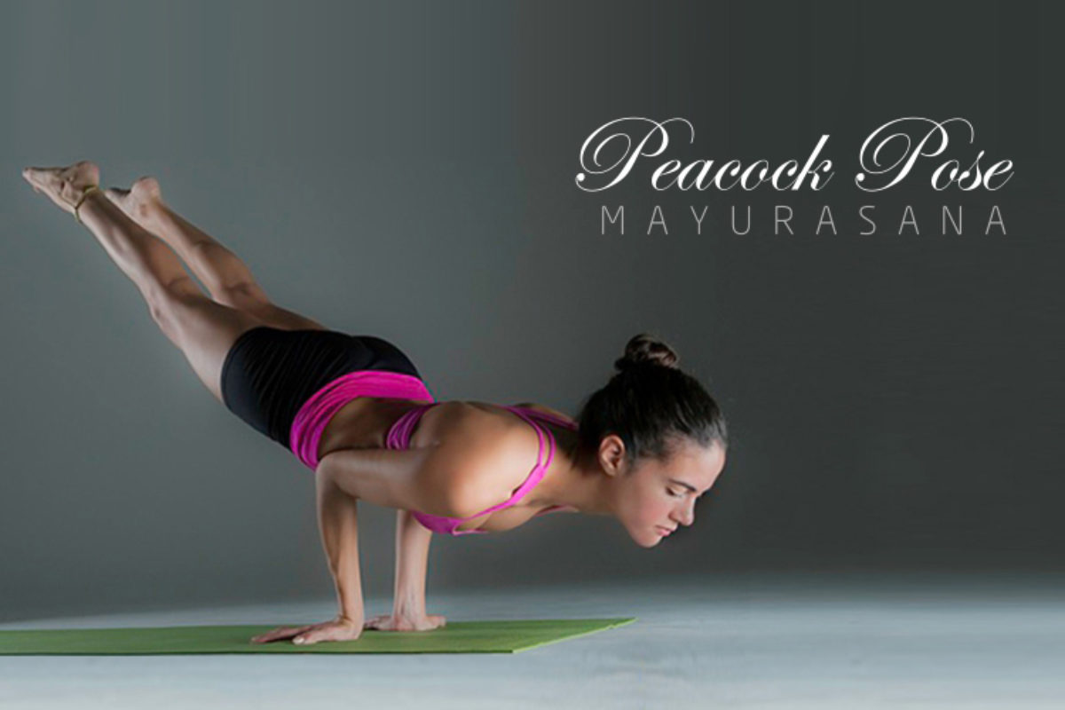 Pose of the Week: Pincha Mayurasana – Glo | Blog