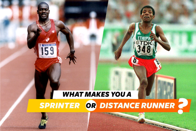 what makes you a sprinter or distance runner?