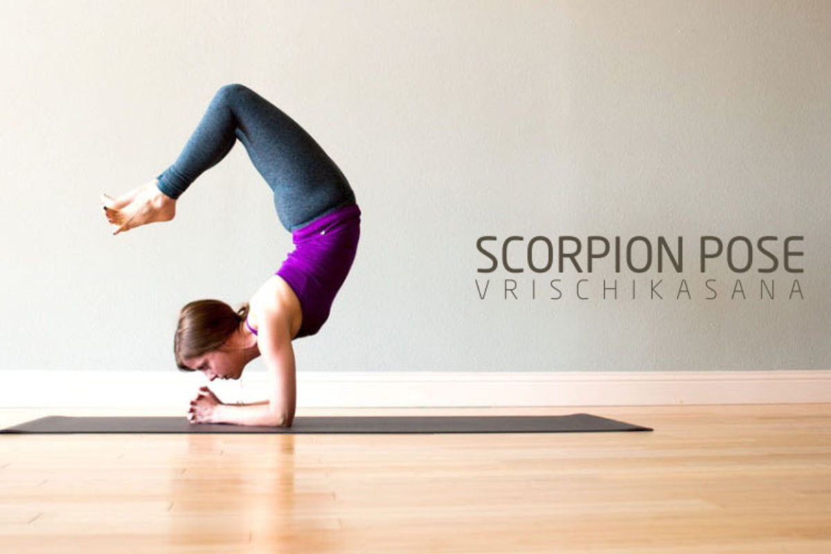 Yoga Tutorials - @seacoralyoga on Scorpion! 🦂 ・・・ Tomorrow our shape is  straight leg scorpion for #ResolutionHandstand2019 Some people might call  this a Mexican handstand but I feel like a Mexican variation