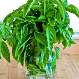 basil leaves