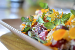 beet_and_quinoa salad