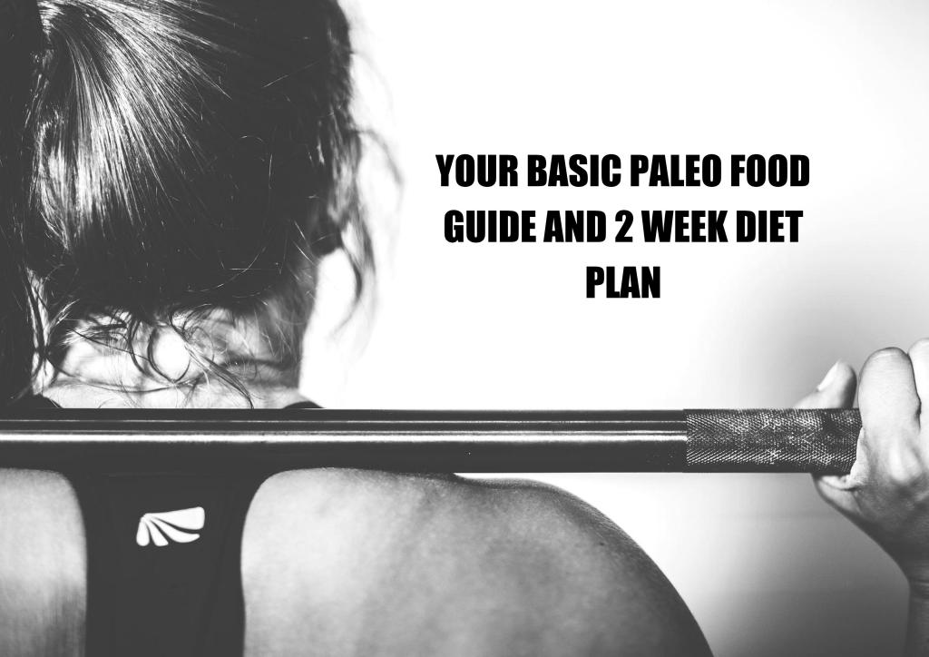 YOUR BASIC PALEO FOOD GUIDE AND 2 WEEK DIET PLAN COVER PAGE_01